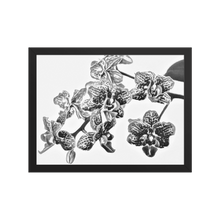 Load image into Gallery viewer, Black and White Orchids Framed Art print
