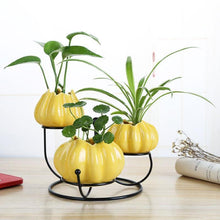 Load image into Gallery viewer, Ceramic and iron flowerpot vase OUT OF STOCK