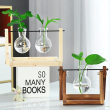 Load image into Gallery viewer, Hydroponics vase - various styles and sizes OUT OF STOCK