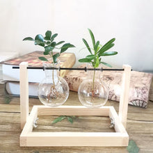 Load image into Gallery viewer, Hydroponics vase - various styles and sizes OUT OF STOCK