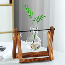 Load image into Gallery viewer, Hydroponics vase - various styles and sizes OUT OF STOCK