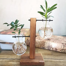 Load image into Gallery viewer, Hydroponics vase - various styles and sizes OUT OF STOCK