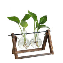 Load image into Gallery viewer, Hydroponics vase - various styles and sizes OUT OF STOCK