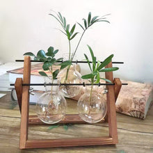 Load image into Gallery viewer, Hydroponics vase - various styles and sizes OUT OF STOCK