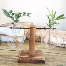 Load image into Gallery viewer, Hydroponics vase - various styles and sizes OUT OF STOCK