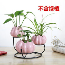 Load image into Gallery viewer, Ceramic and iron flowerpot vase OUT OF STOCK