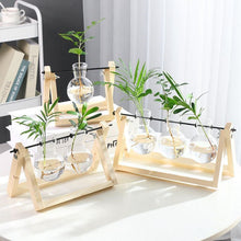 Load image into Gallery viewer, Hydroponics vase - various styles and sizes OUT OF STOCK