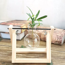 Load image into Gallery viewer, Hydroponics vase - various styles and sizes OUT OF STOCK