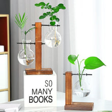 Load image into Gallery viewer, Hydroponics vase - various styles and sizes OUT OF STOCK
