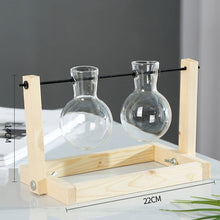 Load image into Gallery viewer, Hydroponics vase - various styles and sizes OUT OF STOCK