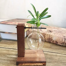 Load image into Gallery viewer, Hydroponics vase - various styles and sizes OUT OF STOCK