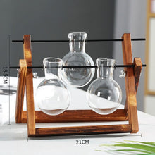 Load image into Gallery viewer, Hydroponics vase - various styles and sizes OUT OF STOCK