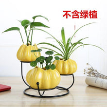 Load image into Gallery viewer, Ceramic and iron flowerpot vase OUT OF STOCK