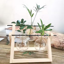 Load image into Gallery viewer, Hydroponics vase - various styles and sizes OUT OF STOCK