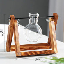 Load image into Gallery viewer, Hydroponics vase - various styles and sizes OUT OF STOCK