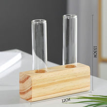 Load image into Gallery viewer, Hydroponics vase - various styles and sizes OUT OF STOCK