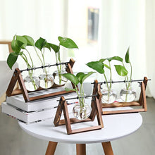 Load image into Gallery viewer, Hydroponics vase - various styles and sizes OUT OF STOCK