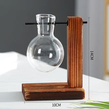 Load image into Gallery viewer, Hydroponics vase - various styles and sizes OUT OF STOCK