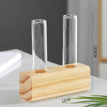 Load image into Gallery viewer, Hydroponics vase - various styles and sizes OUT OF STOCK