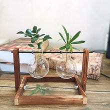 Load image into Gallery viewer, Hydroponics vase - various styles and sizes OUT OF STOCK
