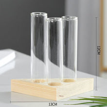 Load image into Gallery viewer, Hydroponics vase - various styles and sizes
