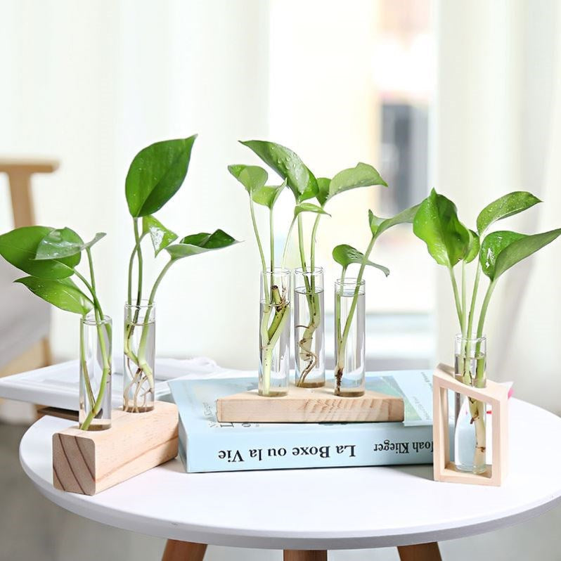 Hydroponics vase - various styles and sizes OUT OF STOCK