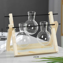 Load image into Gallery viewer, Hydroponics vase - various styles and sizes
