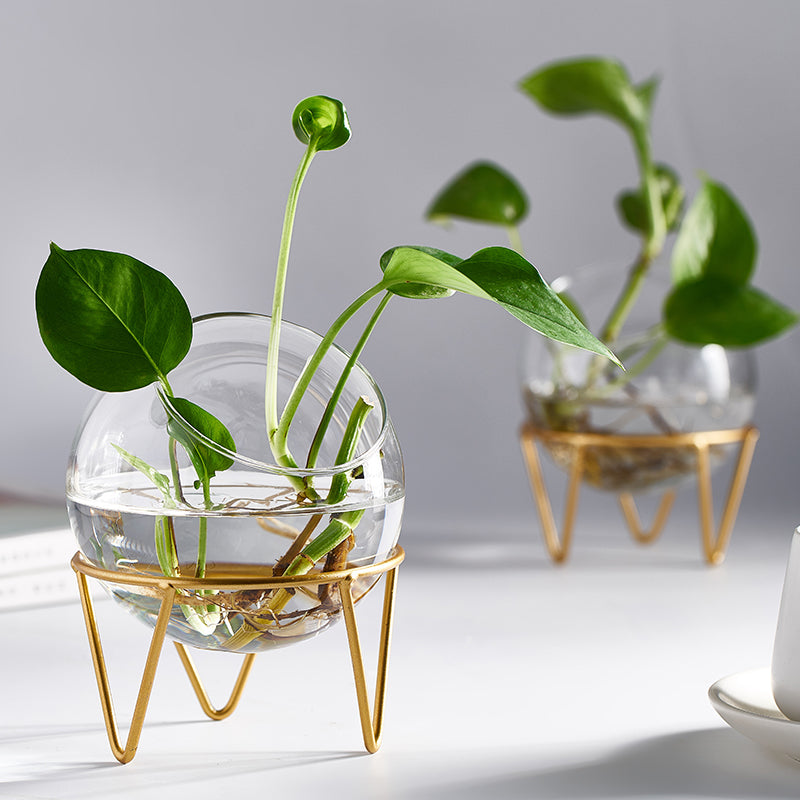 Glass Hydroponics vase ornaments OUT OF STOCK